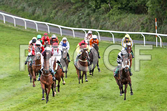 Rose of Fairyhill , 4th, Jockey Mr J T Carroll in the lead - FT8E3177-e