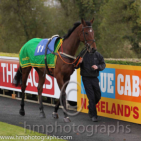 03 Shanahan's Turn & A E Lynch - 3rd (11, emerald green, yellow chevron) - FT8E0231-54