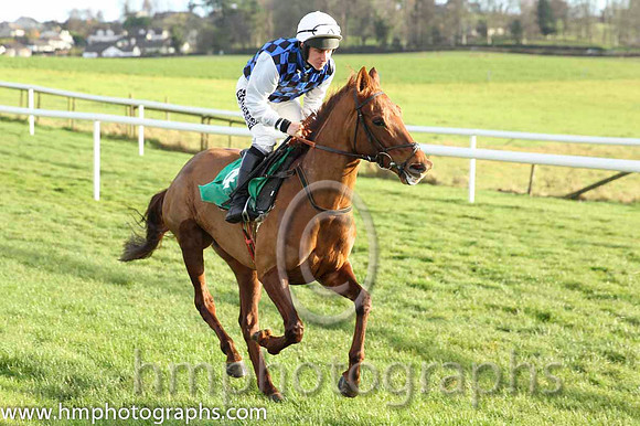 08 Diamond Gesture & P T Enright - 8th (4, royal blue and black check)- CU2D9549-13