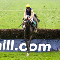 Minor Power 10th , Jockey R G Colgan - FT8E5381-e