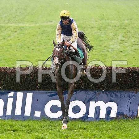 Minor Power 10th , Jockey R G Colgan - FT8E5381-e
