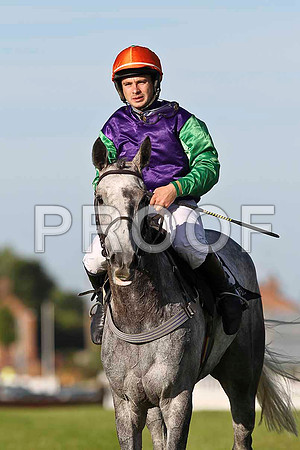R4 at 7:20pm - Derrinlanna PU, Jockey A P Crowe - FT8E1053-e