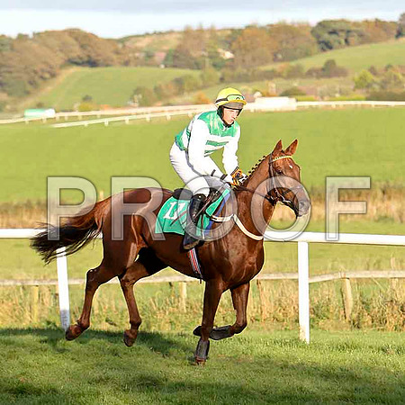 Equation , Jockey C D Maxwell - 4th - CU2D9390-e