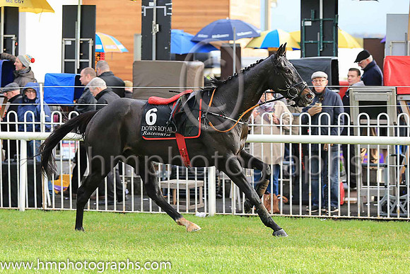 F Woodford Island and K M Donoghue ( 6 , green, red spots ) Trainer - G Elliott , Owner - T J Doran