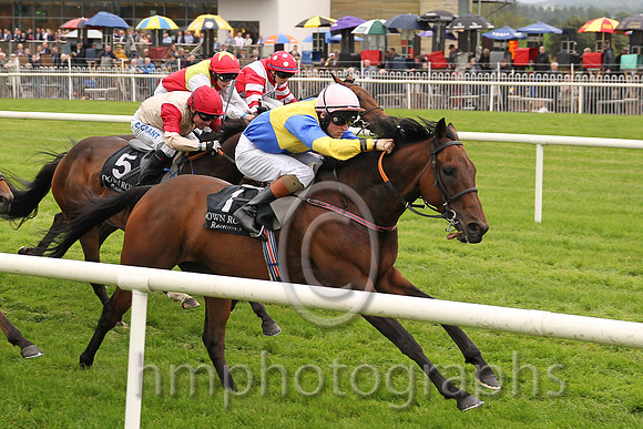 01st Knights Templar ( 1 , royal blue, yellow qtrd ) and G.P. Halpin (5) - Trainer : Patrick J.Flynn - Owner : S.P. Girvan