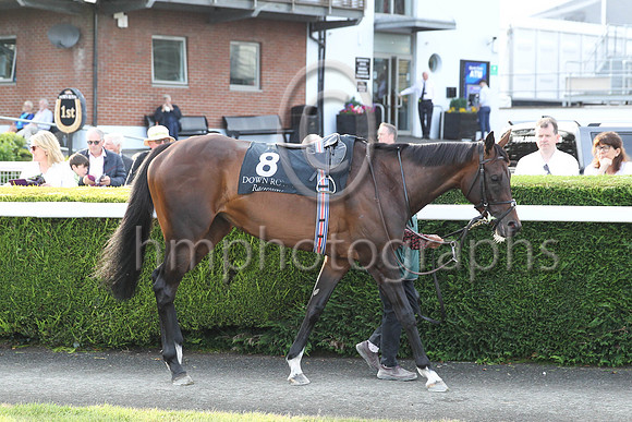 01st Perotan (8 , grey and white check ) Jockey: W M Lordan , Trainer: A P O'Brien
