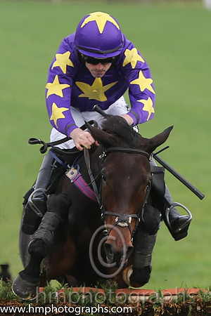 01 Morning Run and R Walsh - - 01st (6 ,purple, yellow star ) Trainer - W P Mullins