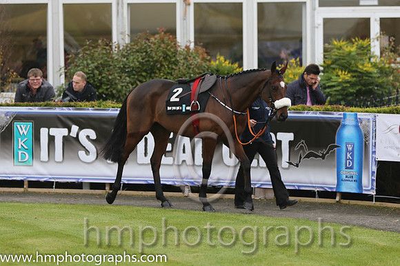 07 Tiger Roll and B J Cooper - PU - 07th (2 ,maroon white star ) Trainer - G Elliott