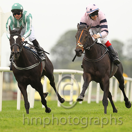 01st Ms Brinkleys ( 3 , pink, darj blue hoop ) and F.M. Berry - Trainer : Mrs John Harrington - Owner : Richard Galway