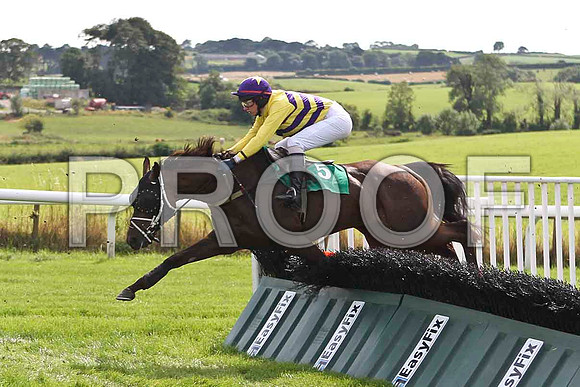 Mighty Whitey 3rd, Jockey Mr D R Fox - FT8E2933-e