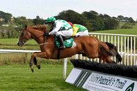 Wise Butler 5th, Jockey Mr B T O'Connell & Baltic wells 3rd, Jockey A E Lynch - FT8E3010-e