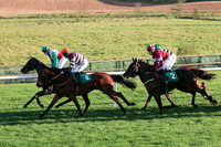 01st Flanking Maneuver and Mr F Maguire ( 2 , maroon, white star ) Trainer - N Meade , Owner - Gigginstown House Stud