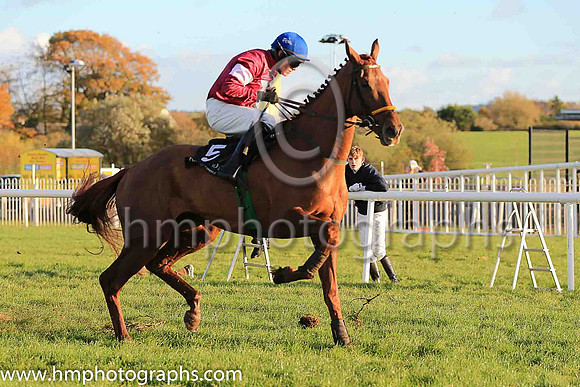 06th Net D'ecosse and Paul Townend ( 5 , maroon, white star, blue cap) Trainer - N Meade , Owner - Gigginstown House Stud