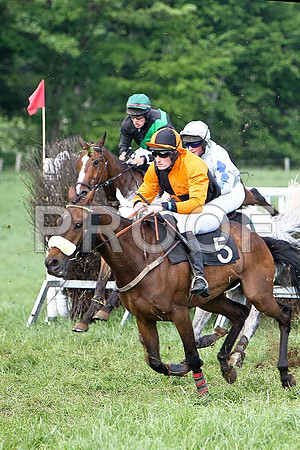 ace 6 Div 1 -Crankie Frankie (5) 2nd, Rider W G Rankin - CU2D9768-e