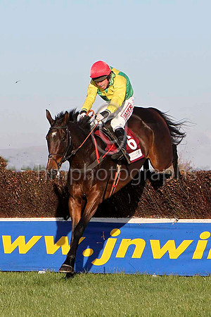 Sizing Europe , 2nd - Jockey A E Lynch - FT8E7006-e3