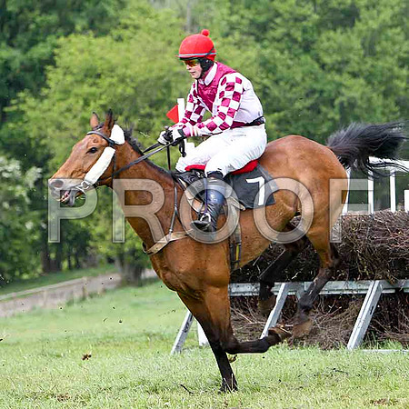 Im A Witness, Unplaced, Jockey J J Slevin - FT8E2504-e