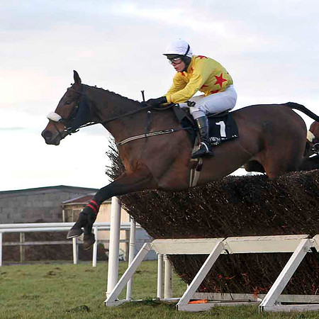 Hidden Crack (Yellow)  - Winner, Jockey S E Butler - CU2D3249-e2CU2D3250-e2