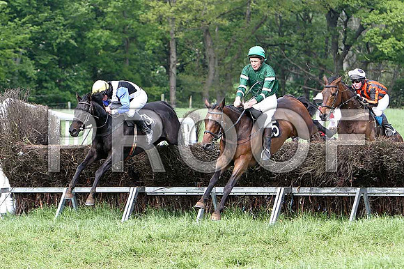 Fifth Race Div 2 -  - CU2D9708-e