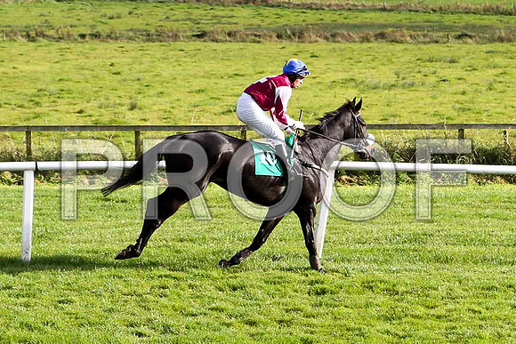 Soitoldyou , Jockey B M Cash - 10th - FT8E4414-e