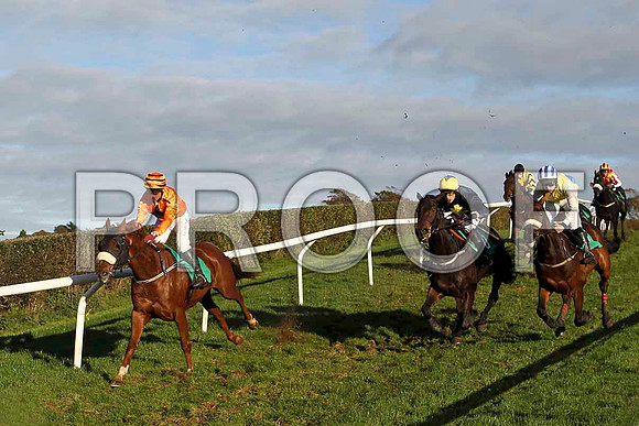 Loch Na Beaste , Jockey J L Cullen - 2nd - FT8E4451-e
