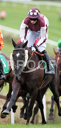 She Will Return - 8th , Jockey B J Cooper  -CU2D9467-e
