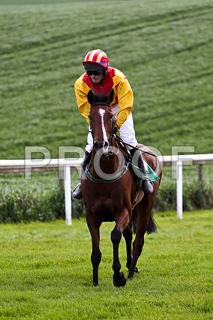 Precious Melody , 11th, Jockey A G Bourke - FT8E2897-e