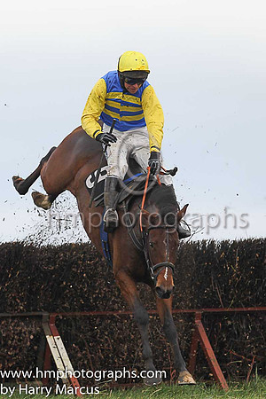 SHIPWRECK and N McParlan ( 9 , ROYAL BLUE  YELLOW HOOPS; yellow sleeves; yellow cap ) Trainer: C.A. McBratney , Owner : Templeburn Racing Syndicate