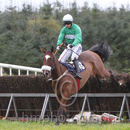 06 OneHellOfANiceGuy & David Joseph O'Leary - 6th (13, emerald green, white hoop)- FT8E0612-49