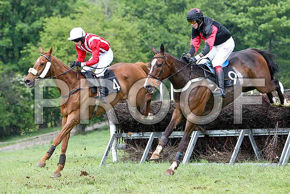 Arc of Steel - 3rd, Jockey M McConville  - Maypole Dancer, Unplaced, Jockey C Cully - FT8E2499-e