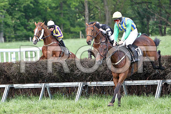 Race 6 Div 1 -Tanzad (28) 4th, Rider B O'Neill, Belfry Boy (3) 7th, Rider R M Johnson & Macroger (17) 3rd, Rider D A Fitzsimmons - CU2D9754-e