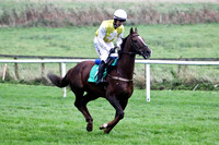 Kyoto Summit , 8th - Jockey I J McCarthy - FT8E5271-e