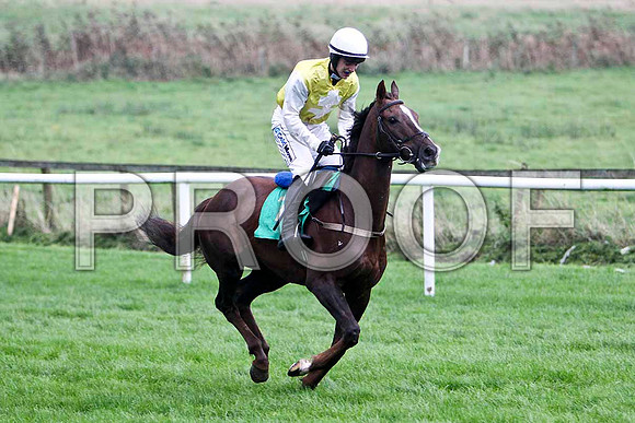 Kyoto Summit , 8th - Jockey I J McCarthy - FT8E5271-e