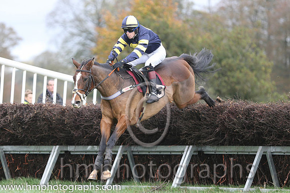 02 Serious Times and N O'Rourke - - 02nd (3 ,dark blue, yellow disc ) Trainer - Pater Maher