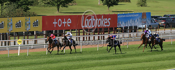 03rd Manu Et Corde (1 white, purple panel ) Jockey: Kevin Manning , Trainer: J S Bolger