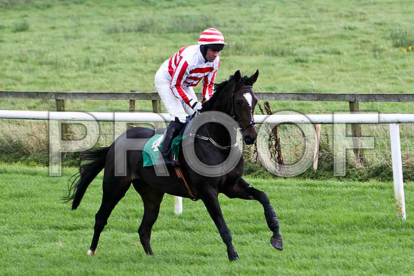Charlie Swift 5th, Jockey R M Moran -  FT8E5189-e