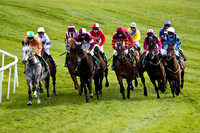 Hang Up My Boots 5th, Jockey A P Thornton in the lead - FT8E3021-e2
