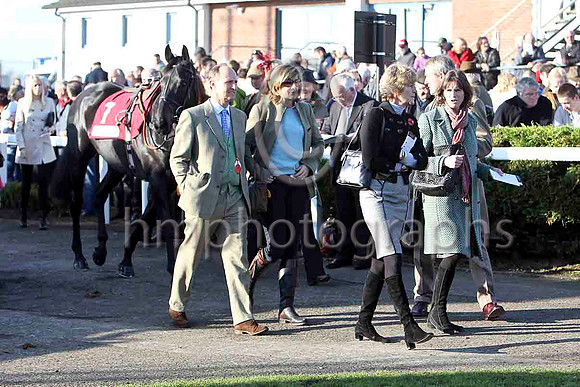 Entering the parade ring - FT8E6956-e