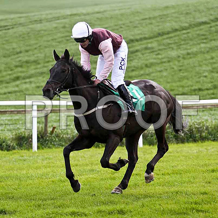 Wee Jerry , 10th, Jockey - R C Colgan - FT8E2894-e
