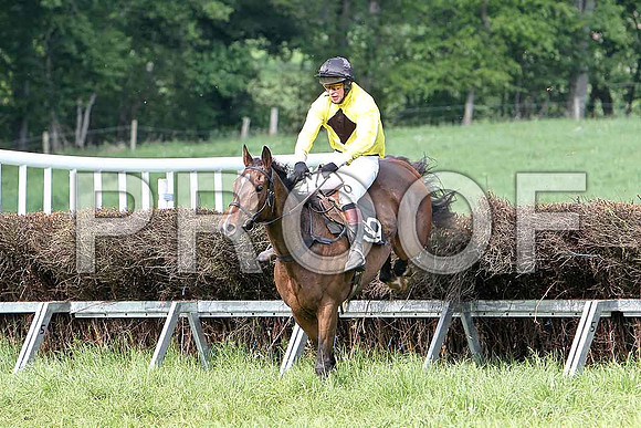 Fifth Race Div 2 - Top Gal (39) 4th, Rider M J Henry - CU2D9732-e