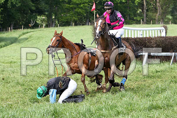 Fifth Race Div 2 - Chestnut Power (17) Fell, Rider J C Barry & Muireads Girl (34) 5th, Rider J J Gault - CU2D9691-e