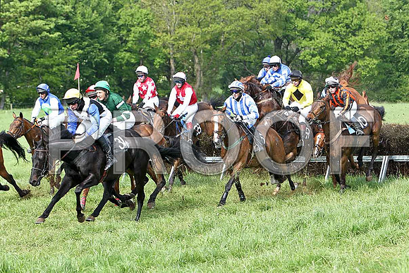Fifth Race Div 2 -  - CU2D9689-e