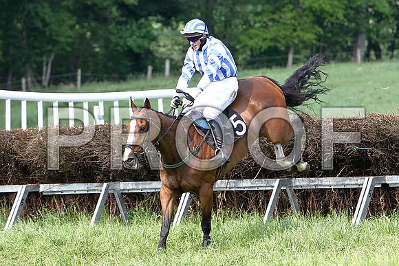 Fifth Race Div 2 - Connie de Mar (5) 3rd, Rider B G Crawford - CU2D9730-e