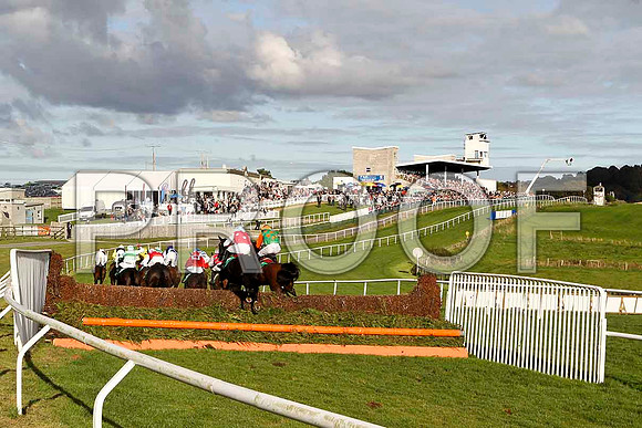 Racing in the sun at Downpatrick Race Course - FT8E4444-e2