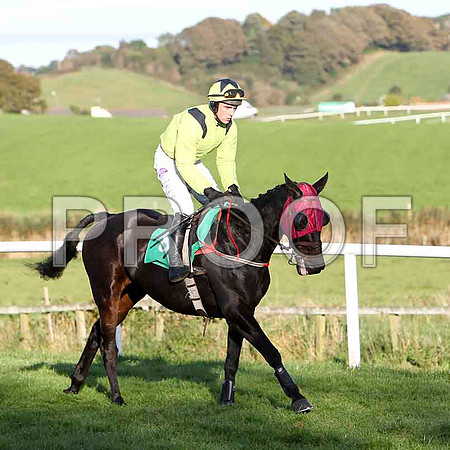 No More Prisoners , Jockey Mr B T O'Connell - 8th - CU2D9396-e
