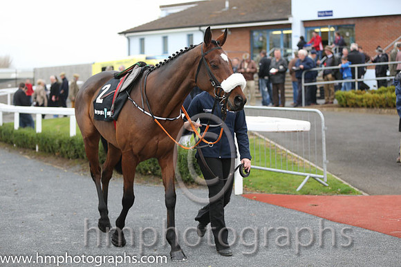 07 Tiger Roll and B J Cooper - PU - 07th (2 ,maroon white star ) Trainer - G Elliott