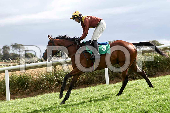 Lake Return - 2nd , Jockey D J Bates - IMG_9424-e