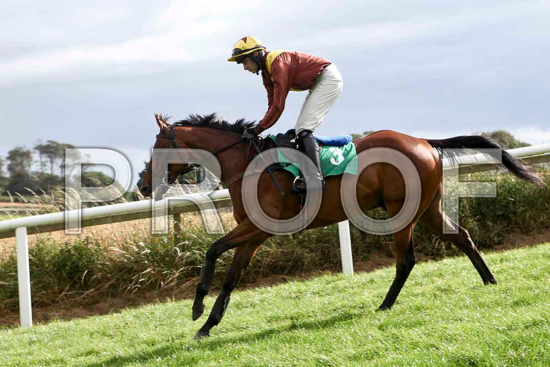 hmphotographs | 2011-08-29th-Race 3 - 1540 - Win a Diamond Ring Today ...