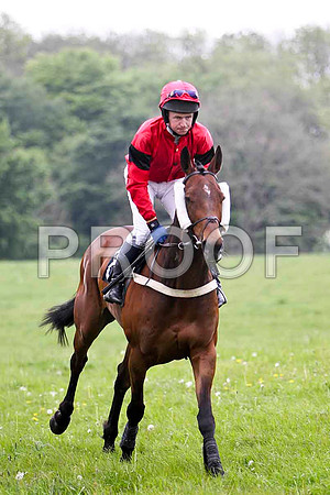 Banaway, 4th, Jockey N McParlan - FT8E2559-e