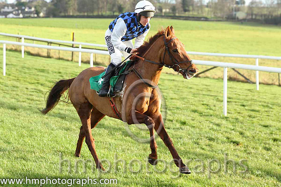 08 Diamond Gesture & P T Enright - 8th (4, royal blue and black check) - CU2D9550-14