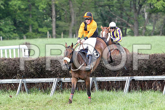 Race 6 Div 1 -Crankie Frankie (5) 2nd, Rider W G Rankin & Tanzad (28) 4th, Rider B O'Neill - CU2D9774-e